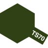 PEINTURE AEROSOL VERT OLIVE TERNE TS-70 (100ML)