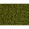 Flocage fibres 4mm herbe de pré (20g)