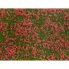 Foliage de prairie vert / fleurs rouges